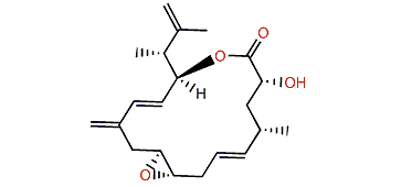 Amphidinolide PX1